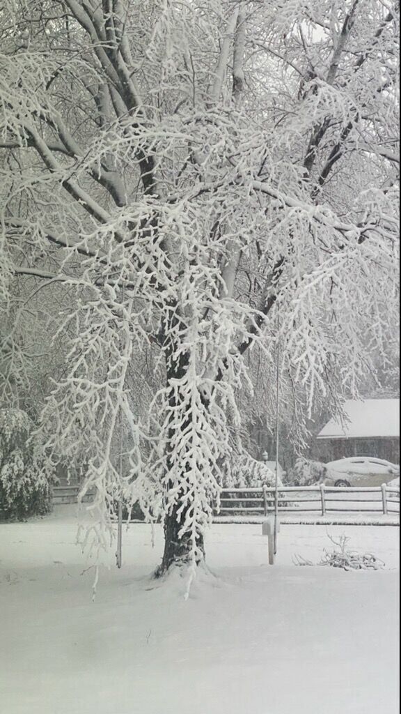 Winter Storm 1-3-22 p2